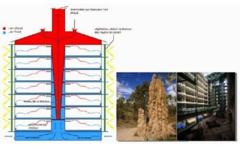 BIOMIMÉTICA - O DESIGN E ARQUITETURA COMPLEXA DOS CUPINZEIROS INSPIRAM CONSTRUÇÕES SUSTENTÁVEIS