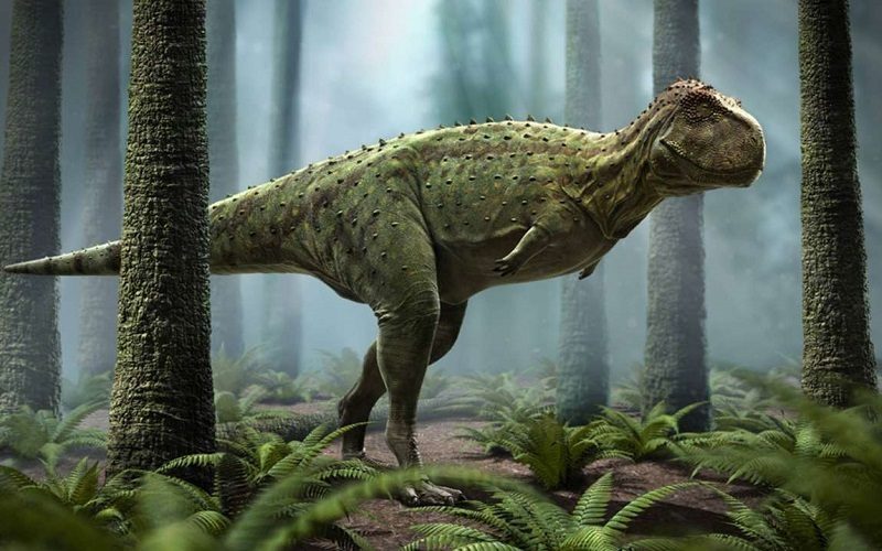 Pycnonemossauro, primo brasileiro do Tiranossauro Rex