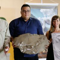 DESCOBERTA INESTIMÁVEL: MAIS DE 300 OVOS DE PTEROSSAUROS FORAM DESCOBERTOS POR BRASILEIROS E CHINESES, ALGUNS COM EMBRIÕES PRESERVADOS