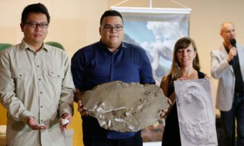 MAIS DE 300 OVOS DE PTEROSSAUROS FORAM DESCOBERTOS POR BRASILEIROS E CHINESES