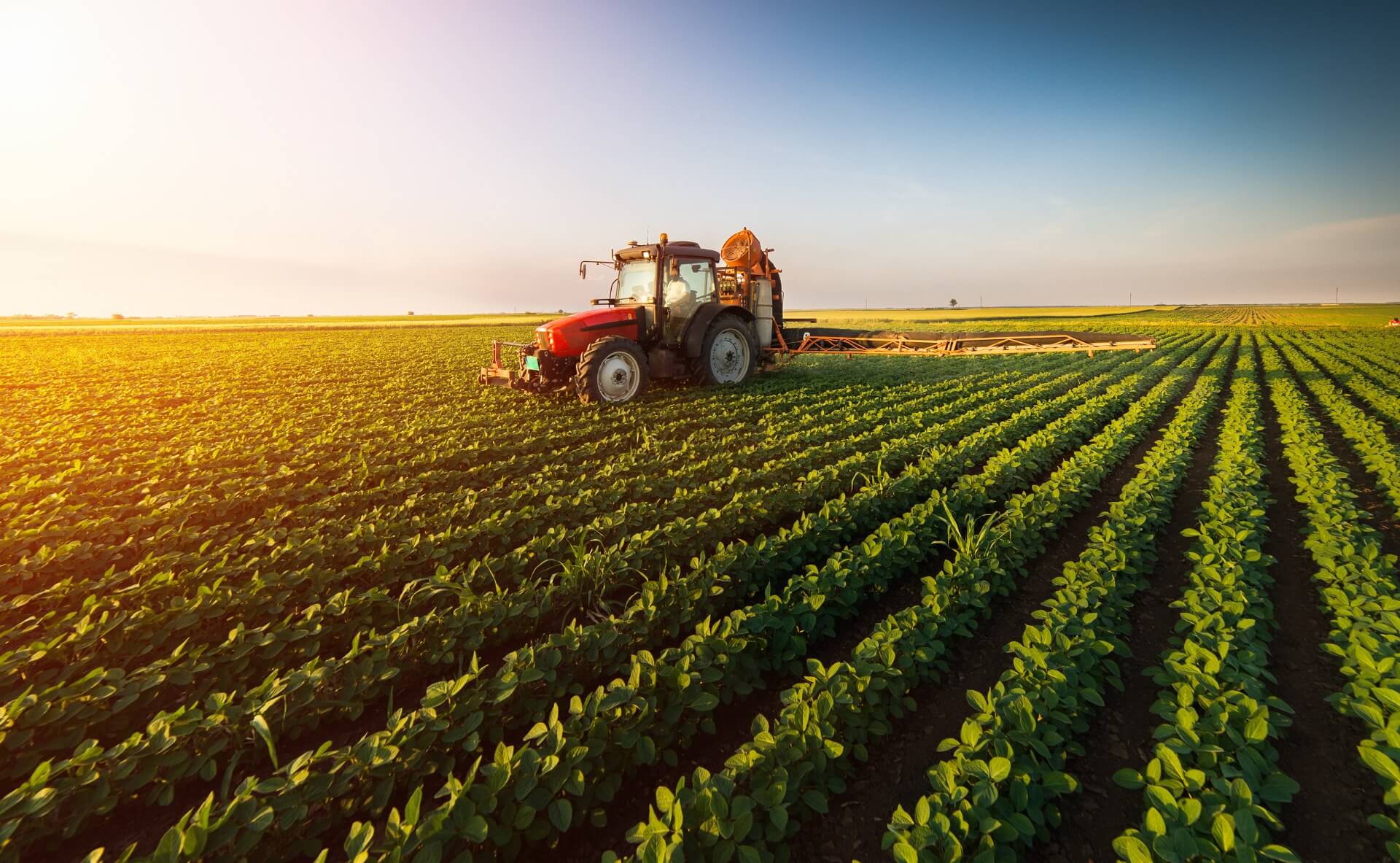 ESTUDO DA NASA CONFIRMA BRASIL OCUPA APENAS 7,6% DE SEU TERRITÓRIO COM AGRICULTURA