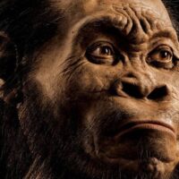 HOMO NALEDI, O ELO QUE NÃO SE ENCAIXA NA TEORIA DA EVOLUÇÃO HUMANA