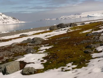 PESQUISADOR BRASILEIRO ENCONTRA NA ANTÁRTICA BACTÉRIAS QUE PRODUZEM SUBSTÂNCIAS ANTICANCERÍGENAS