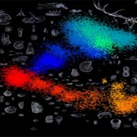 INTELIGÊNCIA ARTIFICIAL ENCONTRA DADOS DIVERGENTES AOS ESTABELECIDOS NA TEORIA DA EVOLUÇÃO