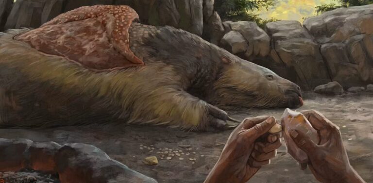 Joias de ossos de preguiça gigante encontradas no Brasil e o debate da ocupação humana das Américas